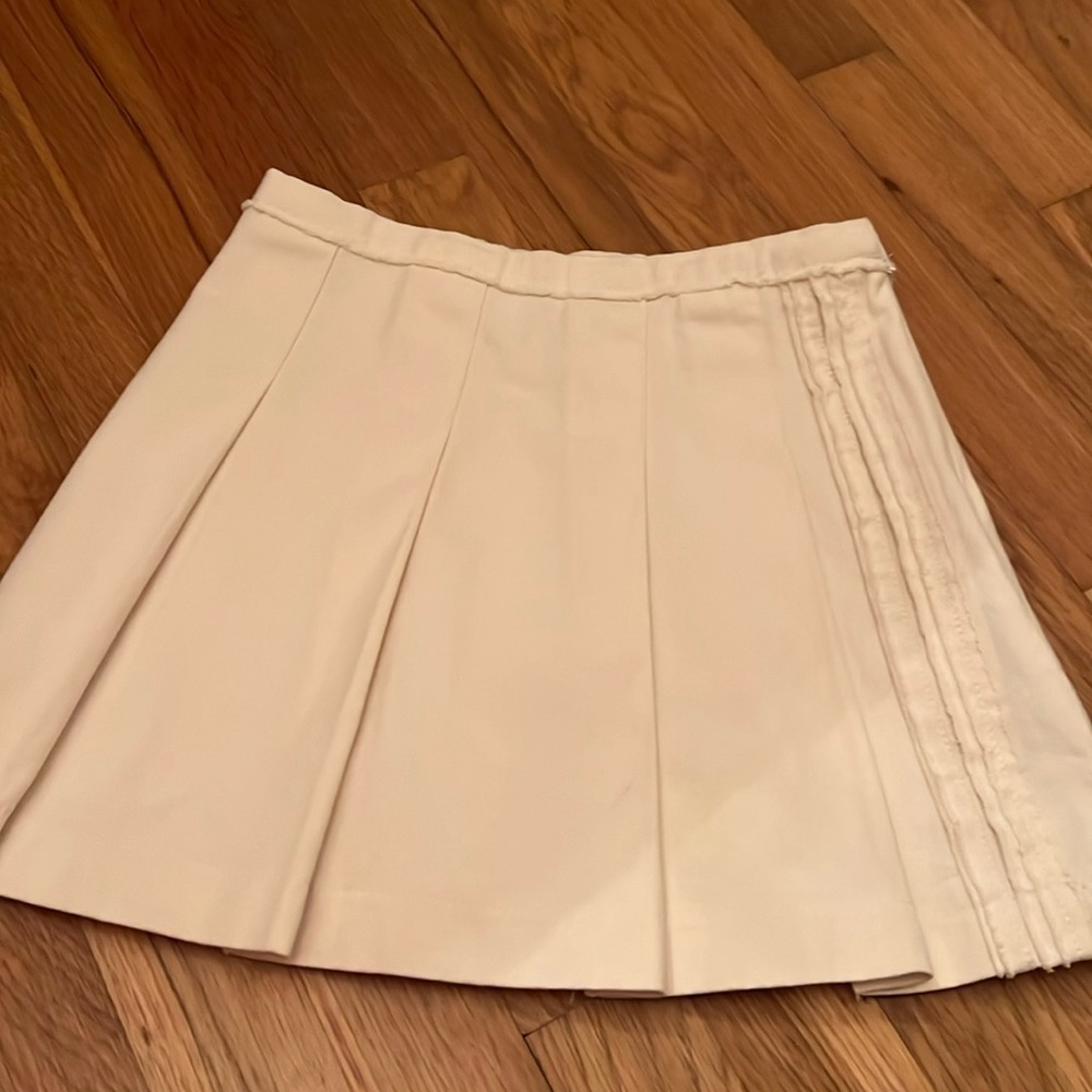 Zara cram Skirt NWOT size 10